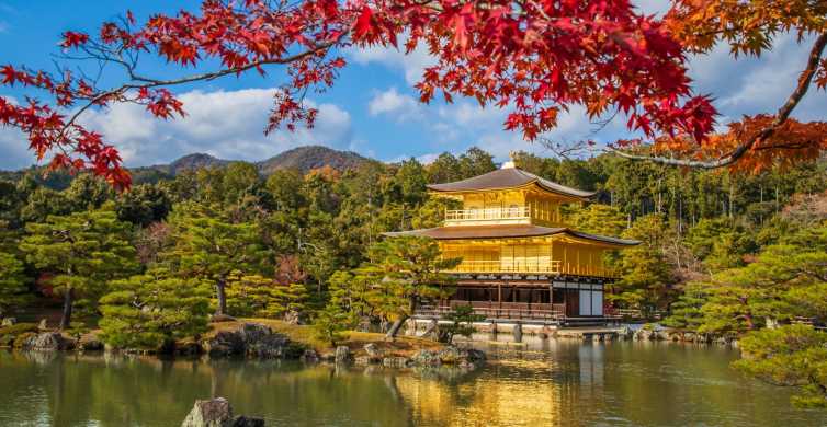 Come prenotare una guida certificata, Viaggi in Giappone