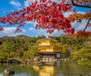 Osaka/Kyoto:Kinkakuji,Arashiyama,FushimiInariShrine,NaraPark