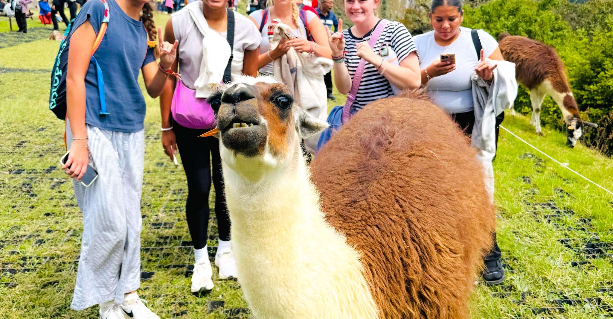 Machu Picchu Guided Day Experience in Cusco, Peru