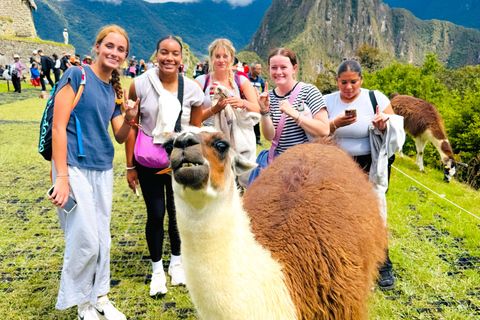 Machu Picchu Official Tour: Entrance Ticket & Expert Guide Machu Picchu Circuit 2 (Classic Route)