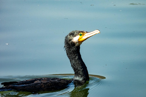 Hangzhou: West Lake Legends Walking Tour