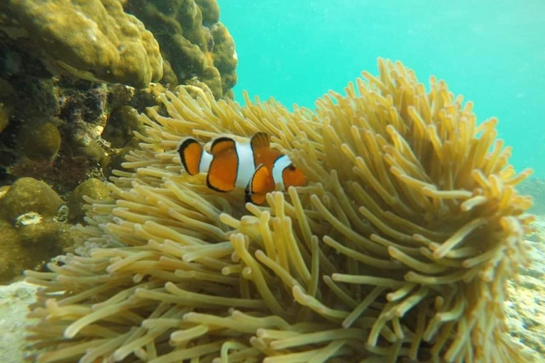 Paquete de 2 días, 1 noche y actividades en la isla Phi Phi