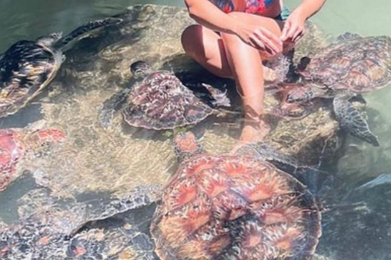 ZANZIBAR: Wycieczka na wyspę Mnemba z nurkowaniem i akwarium z żółwiami