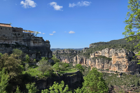 Cistercian Route Monasteries & Wine Tour