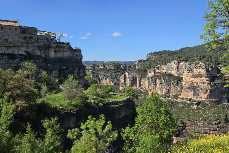 Cistercian Route Monasteries & Wine Tour
