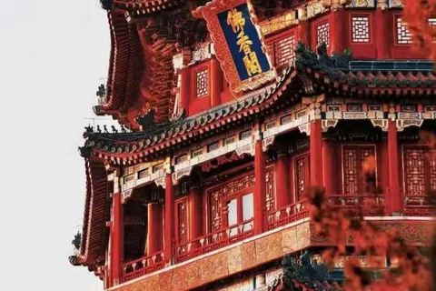 Beijing: Summer Palace Ticket with English Guide Entrance Ticket with Audio Guide