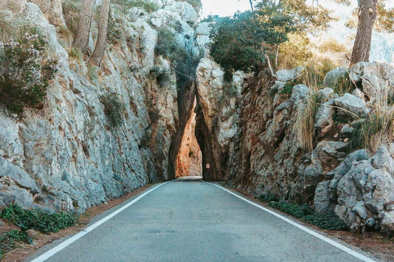 Mallorca Tour: Sa Calobra, Torrent de Pareis und Cala Tuent