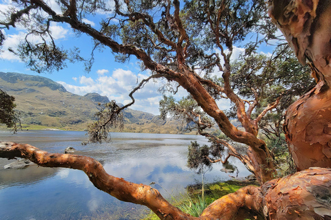 Visite d&#039;une jounée du parc national de Cajas avec déjeunerVisite partagée avec déjeuner