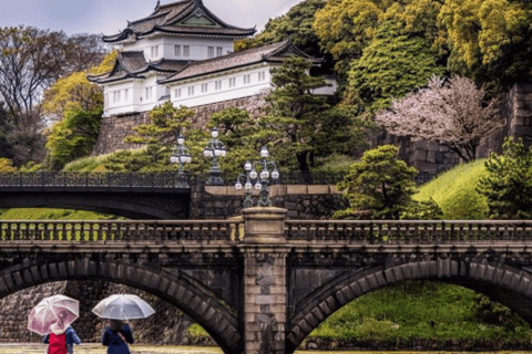 Tokio: Prywatna wycieczka po mieście Tokio w luksusowym transporcieTokio: Wycieczka prywatna po mieście Tokio w luksusowym transporcie