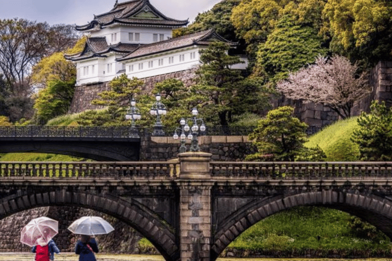 Tokio: Prywatna wycieczka po mieście Tokio w luksusowym transporcieTokio: Wycieczka prywatna po mieście Tokio w luksusowym transporcie