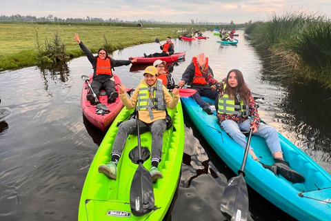 Xochimilco : Excursion en kayak et observation des salamandres