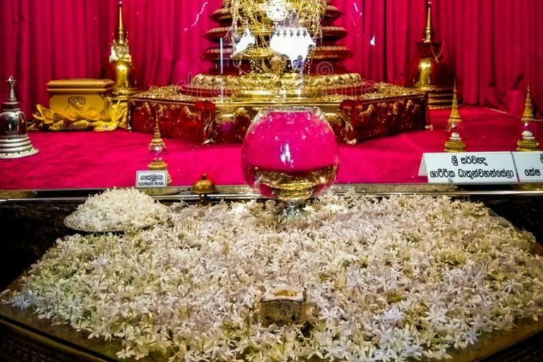 Kandy City Tour: Private Guided Tour of the City by Tuk-Tuk