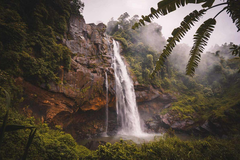 Galle to Adam&#039;s Peak &amp; Waterfall TourTour von Galle nach Adam&#039;s Peak und zum Wasserfall