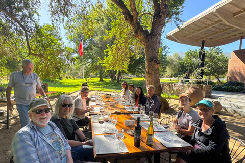 San Antonio Cruise Tour Valparaíso &amp; Casablanca, Santiago