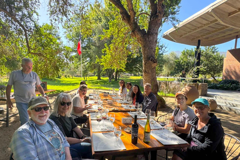 San Antonio Cruise Tour Valparaíso &amp; Casablanca, Santiago