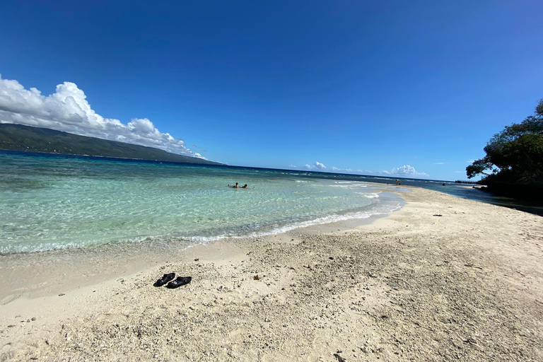 Wycieczka do Oslob Whaleshark, wodospadów Tumalog i Sumilon Sandbar