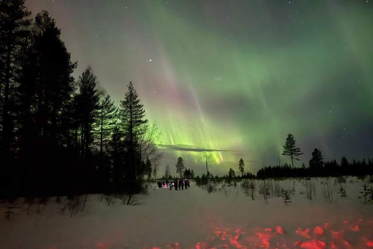 Rovaniemi: Northern Lights Hunt with Campfire & Snacks