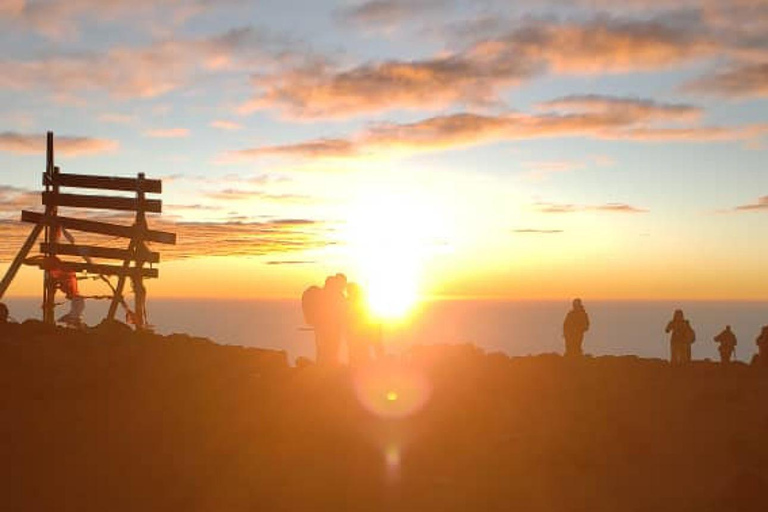 Kilimanjaro trektocht 7 dagen Lemosho Route