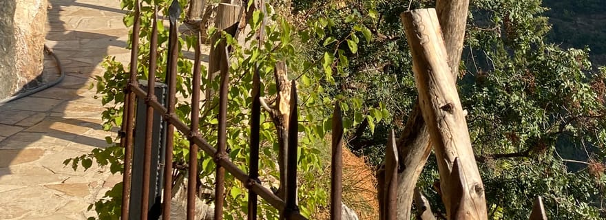 Cèdres de Dieu, Qadisha & Gibran avec prise en charge, guide, entrées+déjeuner