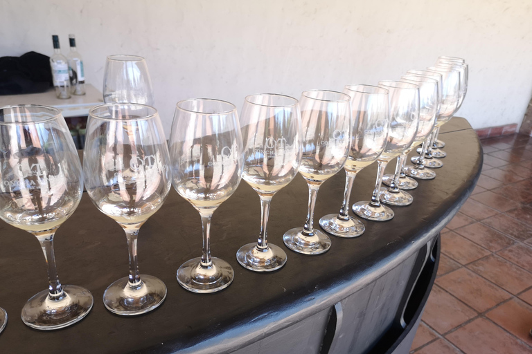 Wine Tour with 7 Tastings + Private Transport + Lapis Lazuli