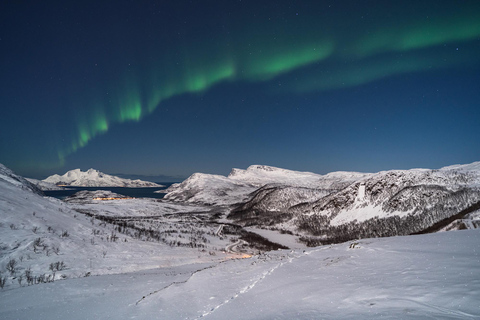 De Tromsø: Perseguição de ônibus guiada pela aurora borealDe Tromsø: Tour Guiado de Ônibus em Busca da Aurora Boreal