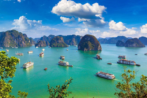 Desde Hanoi: 2D1N Bahía de Ha Long en Crucero Boutique Arcady