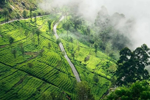 Kolombo/Negombo: Sigiriya, Kandy, Ella - 3-dniowa wycieczka pociągiem