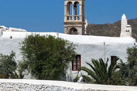 Mykonos: Tour guidato della Fattoria, del Villaggio di Ano Mera e delle Spiagge