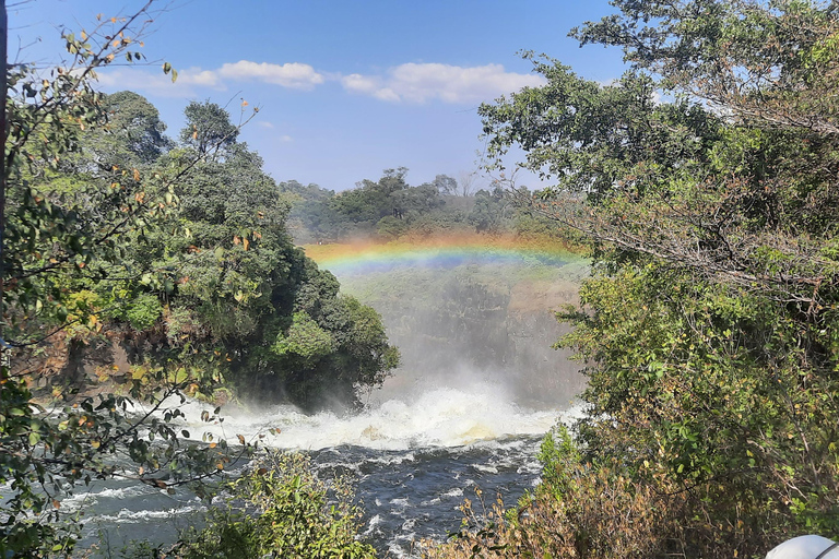 Victoria Falls: Guided tour by local guides Private tour in English