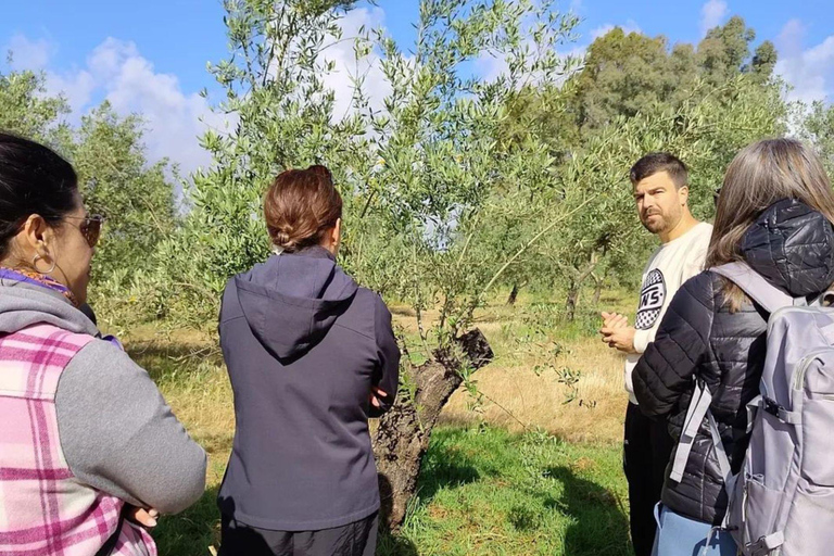 Organic EVOO tasting and guided visit to a family-run organic olive grove Organic EVOO tasting and guided visit to an organic family olive grove