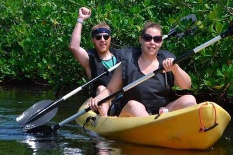 Excursión de 3 horas en kayak por el bosque de manglares