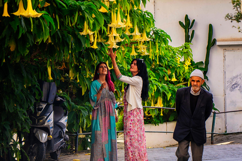 Tarifa: Day trip to Tangier by ferry with exclusive VIP service Price: Day trip to Tangier by ferry with exclusive VIP service