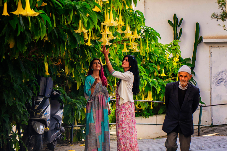 Tarifa: Day trip to Tangier by ferry with exclusive VIP service Price: Day trip to Tangier by ferry with exclusive VIP service