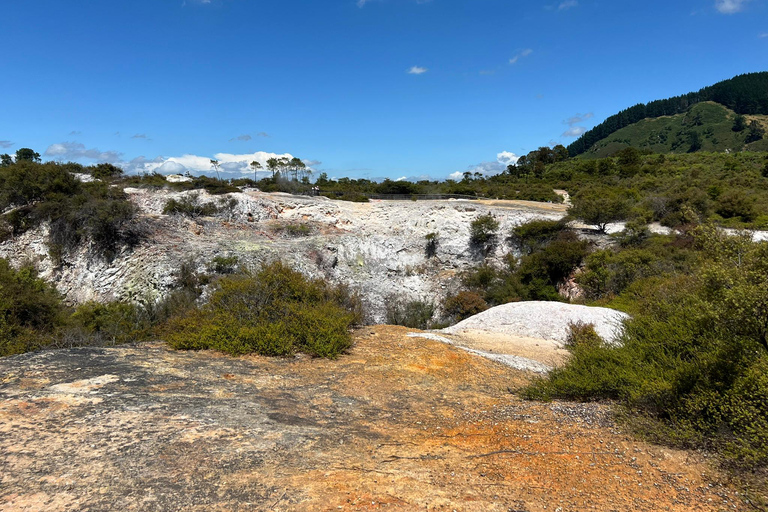 Privat dagsutflykt till Te Puia Rotorua