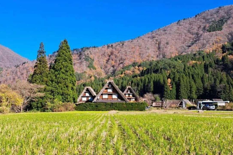 Viagem privada de 1 dia a Shirakawa-go e Takayama