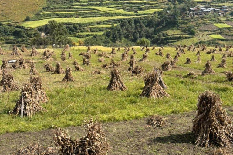 12-daagse privé-trektocht voor koppels naar Manaslu en Larkya La Pass