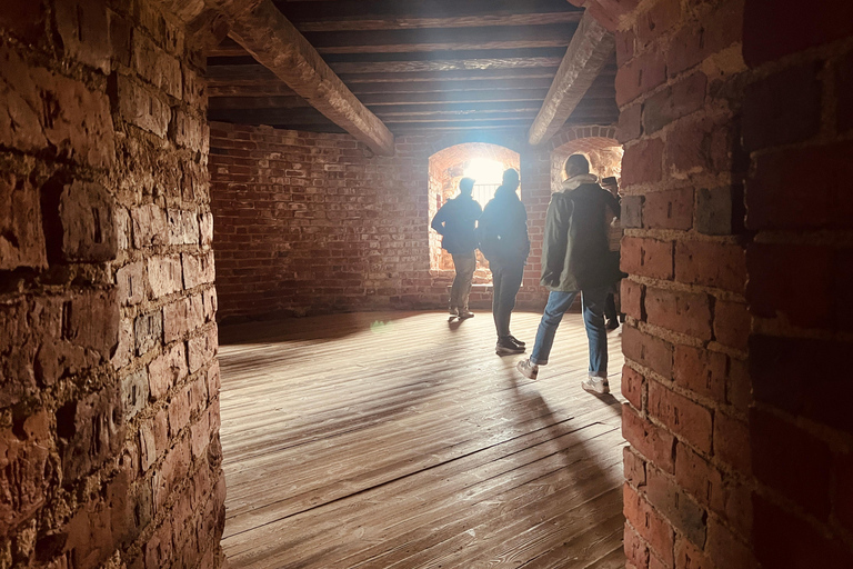 Da Helsinki: Rovine del castello di Raasepori e centro storico di Ekenäs