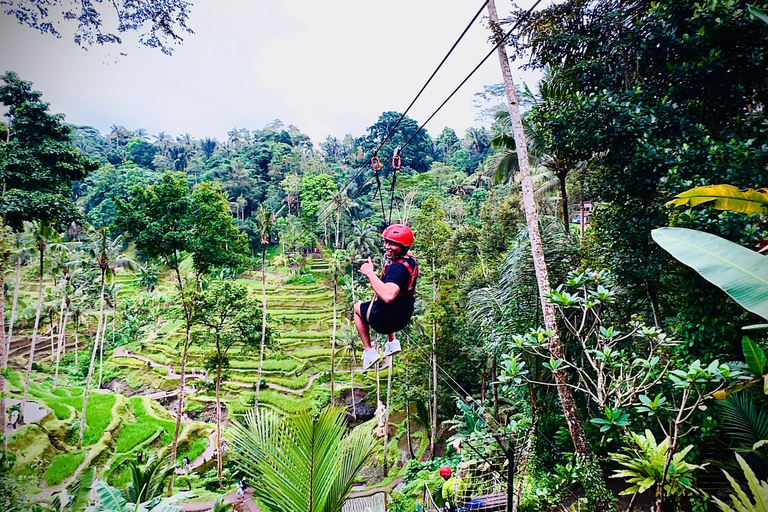 Ubud: Zip-Line, Sacred Temple, and Monkey Forest Tour Private Tour without Entry Ticket