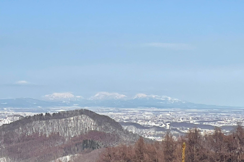 Shikotsu-Toya National Park: Guided Snowshoe Hike and Onsen Shikotsu-Toya National Park: Guided Snowshoe Hike and Onsen.