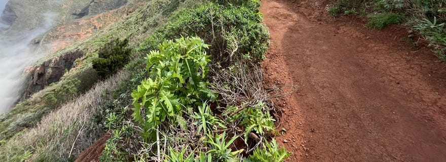 Chemin d'Anaga : Chinamada, PR Anaga