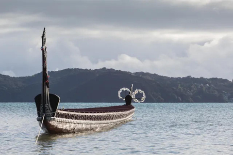 Waitangi Treaty Grounds Guided Tour