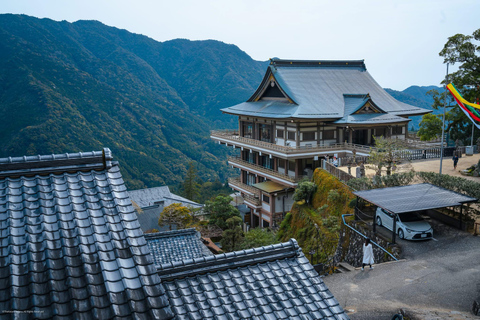 Guided Wakayama Heritage & Forest Trails with Hotel Pickup