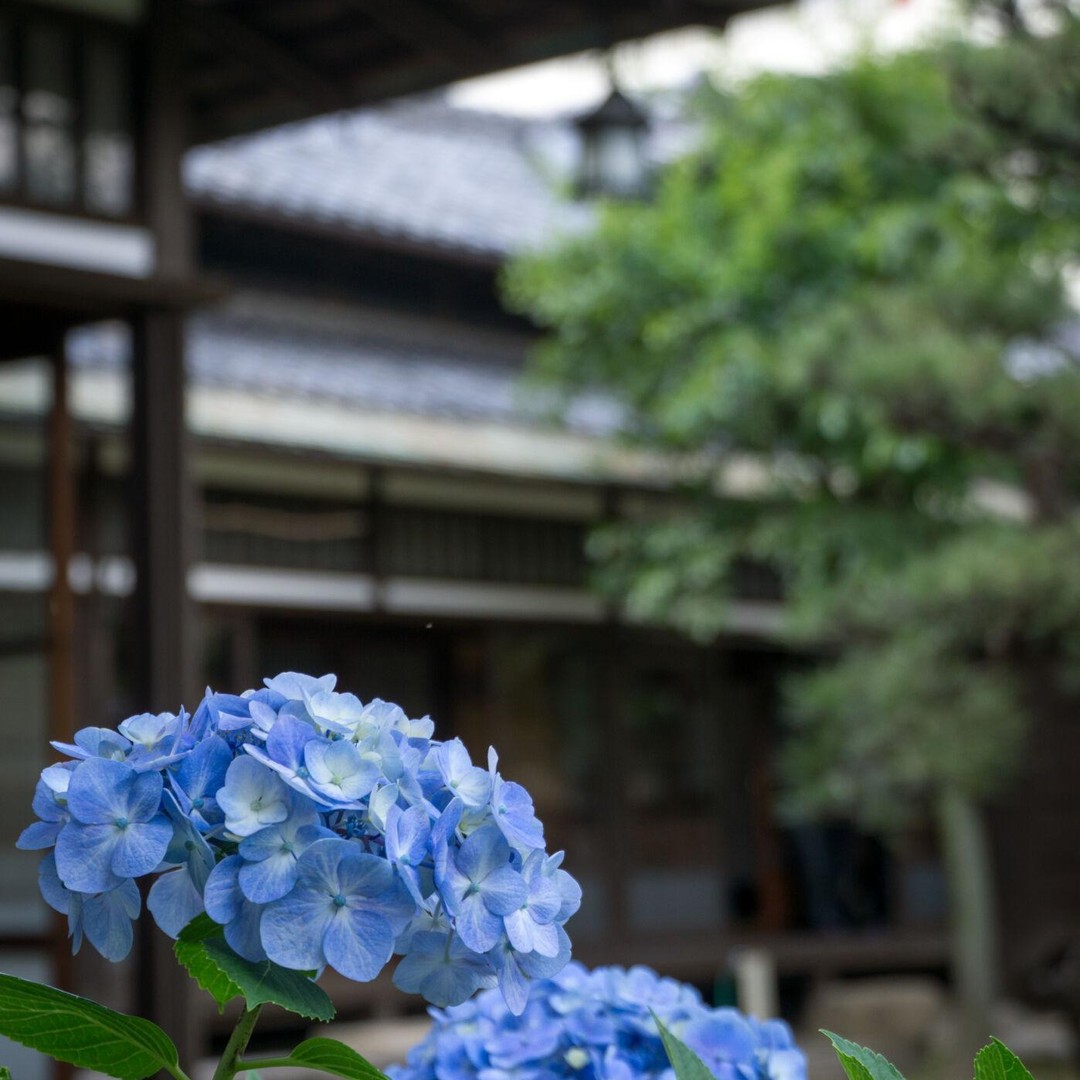 メディア コラージュ