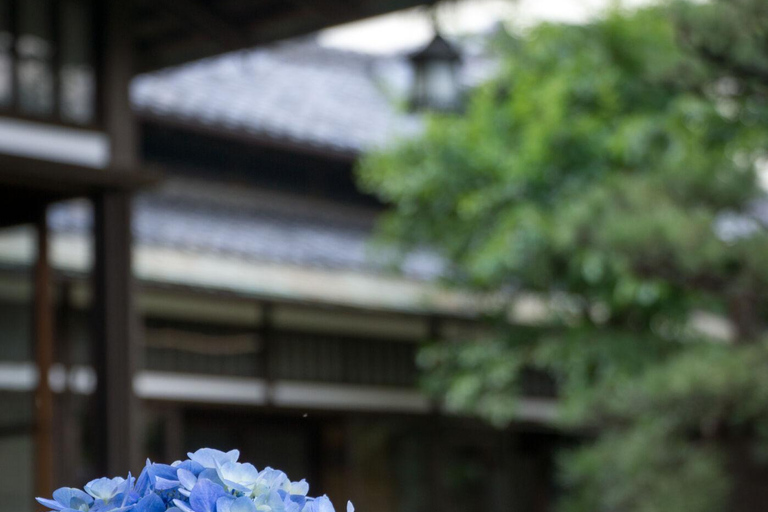 Visite à la journée : Château, jardins et domaine historique de Nagoya