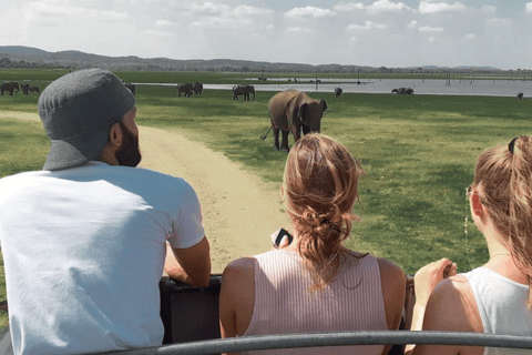 Sri Lanka e-Travels and Tours : Soluzione di trasporto affidabile