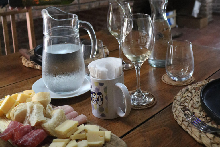 Montevideo: Exclusive VIP Experience at a Century-Old Winery, Tasting, Lunch, Transport