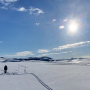 Tromsø: Ice Fishing and Snowshoe Hiking with a Local Guide