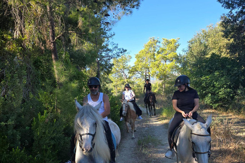 Side: Horse Safari and Family Activity Park Entry 2-Hour Extended Horse Safari Experience