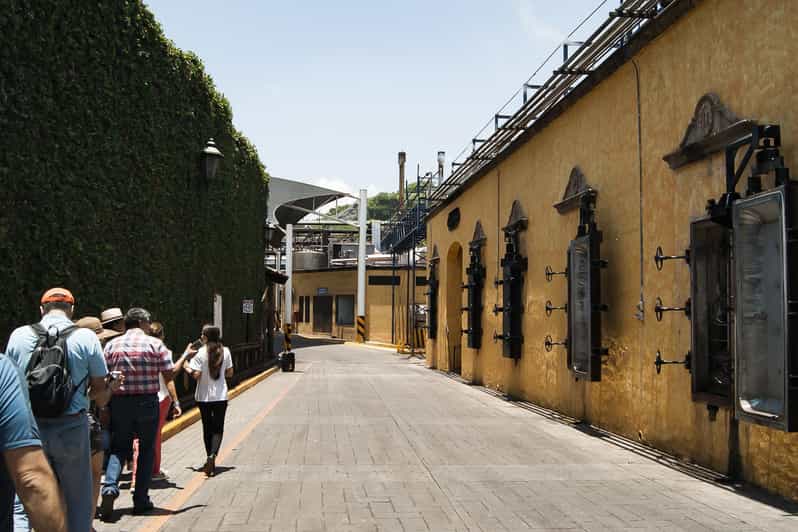 From Guadalajara Jose Cuervo Distillery & Tequila Town Tour GetYourGuide