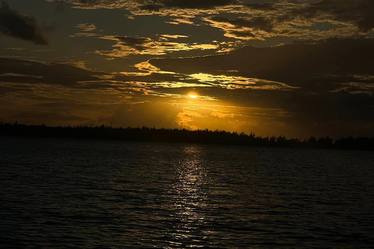 Le morne:Obserwowanie wielorybów i delfinów,Pływanie z delfinamiLe morne: Obserwacja wielorybów i delfinów oraz pływanie